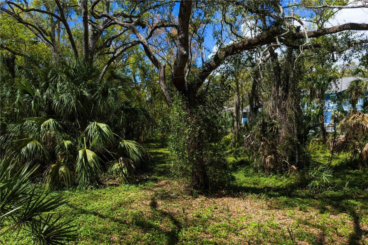 8004 Bay Drive, Tampa, FL 33635 Photo