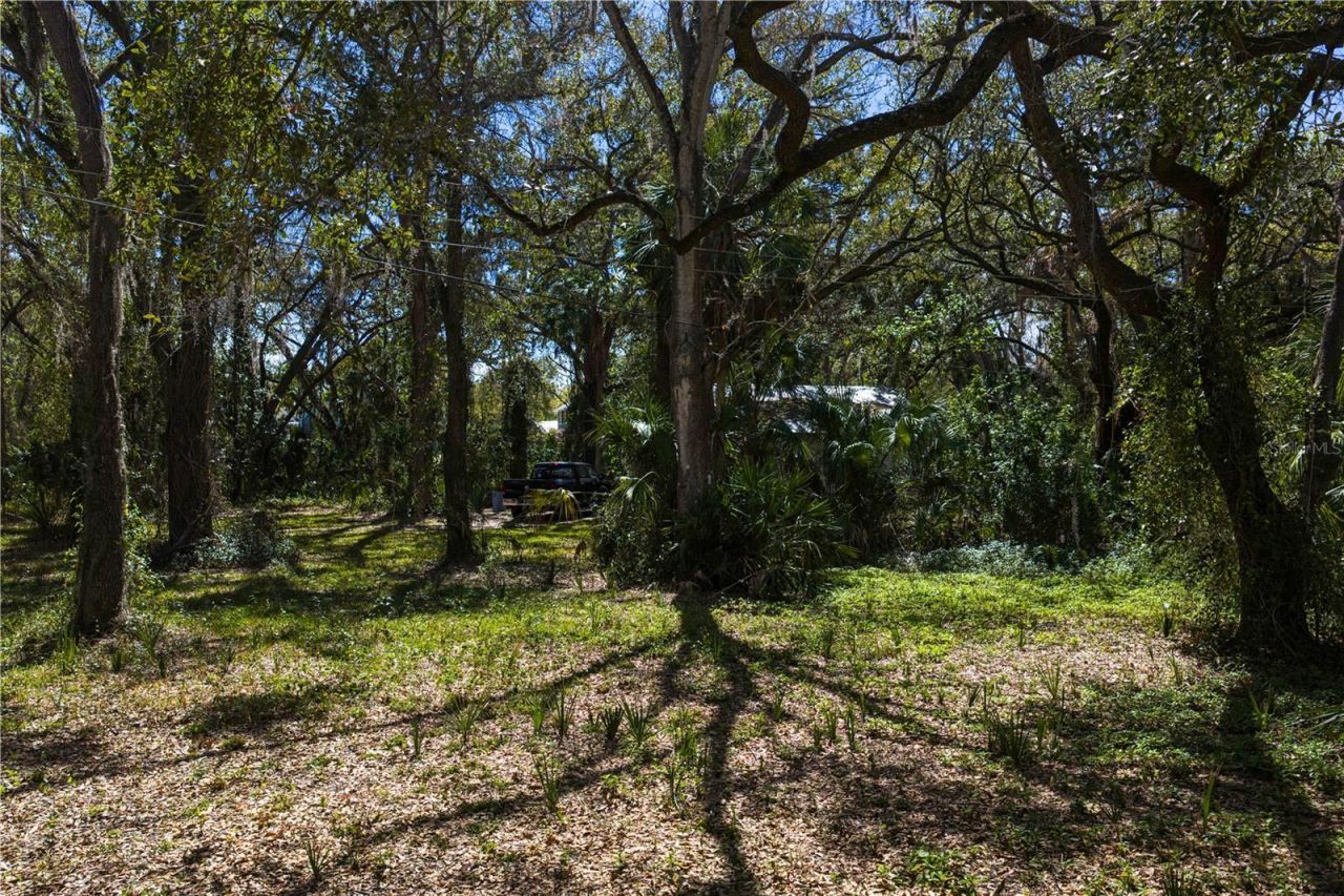 8004 Bay Drive, Tampa, FL 33635 Photo