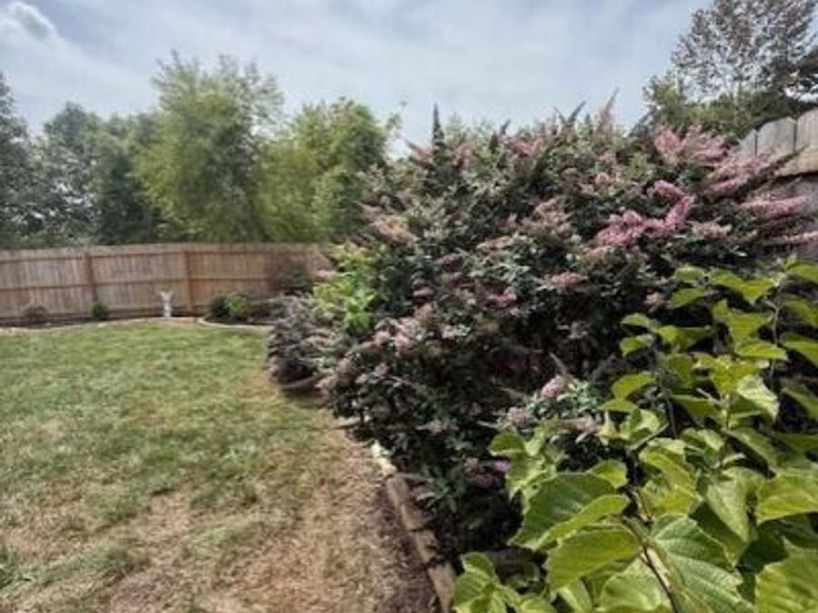 Property Image 67