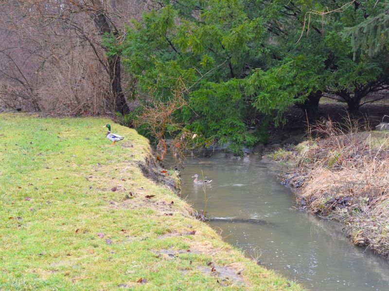 315 N Sunset Drive, Piqua, OH 45356 Photo 70