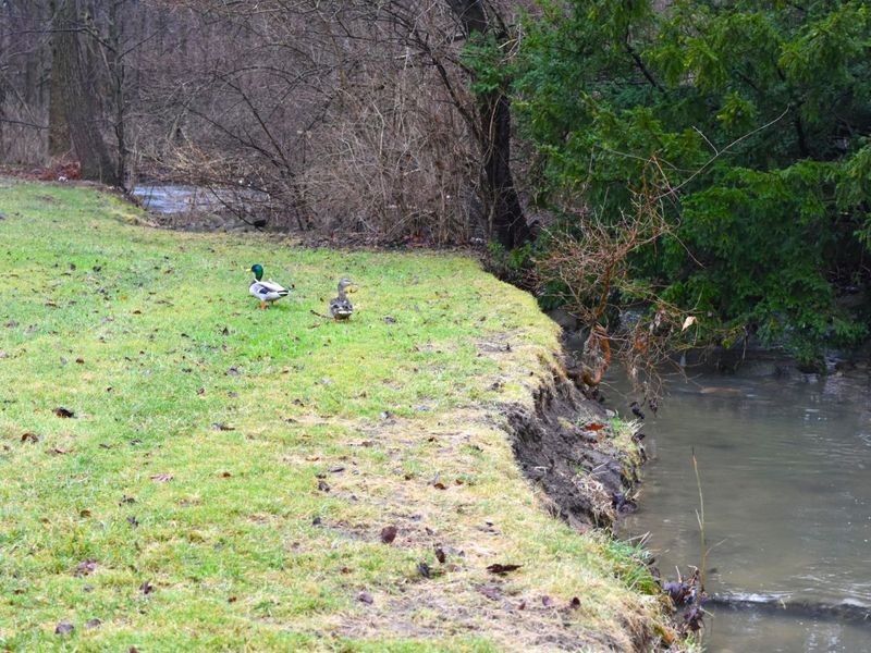 315 N Sunset Drive, Piqua, OH 45356 Photo 71