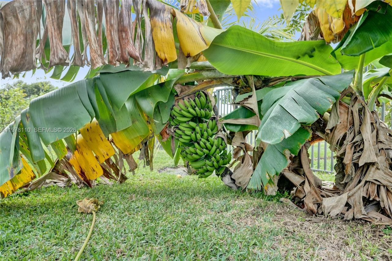 11181 NW 26th Dr , Coral Springs, FL 33065 Photo