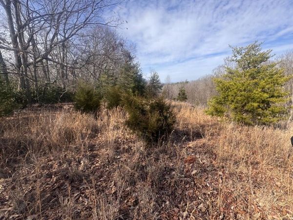 Tbd Jones Circle, Unicoi, TN 37692