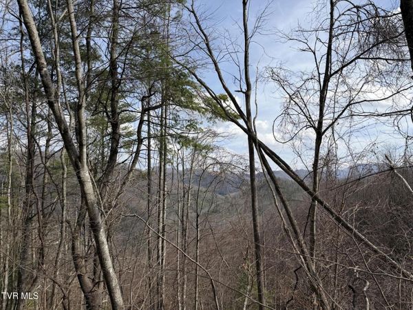 Tbd Highway 421, Mountain City, TN 37683