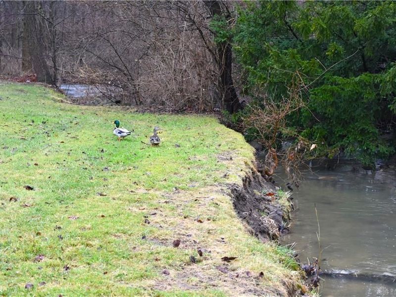 315 N Sunset Drive, Piqua, OH 45356 Photo 66