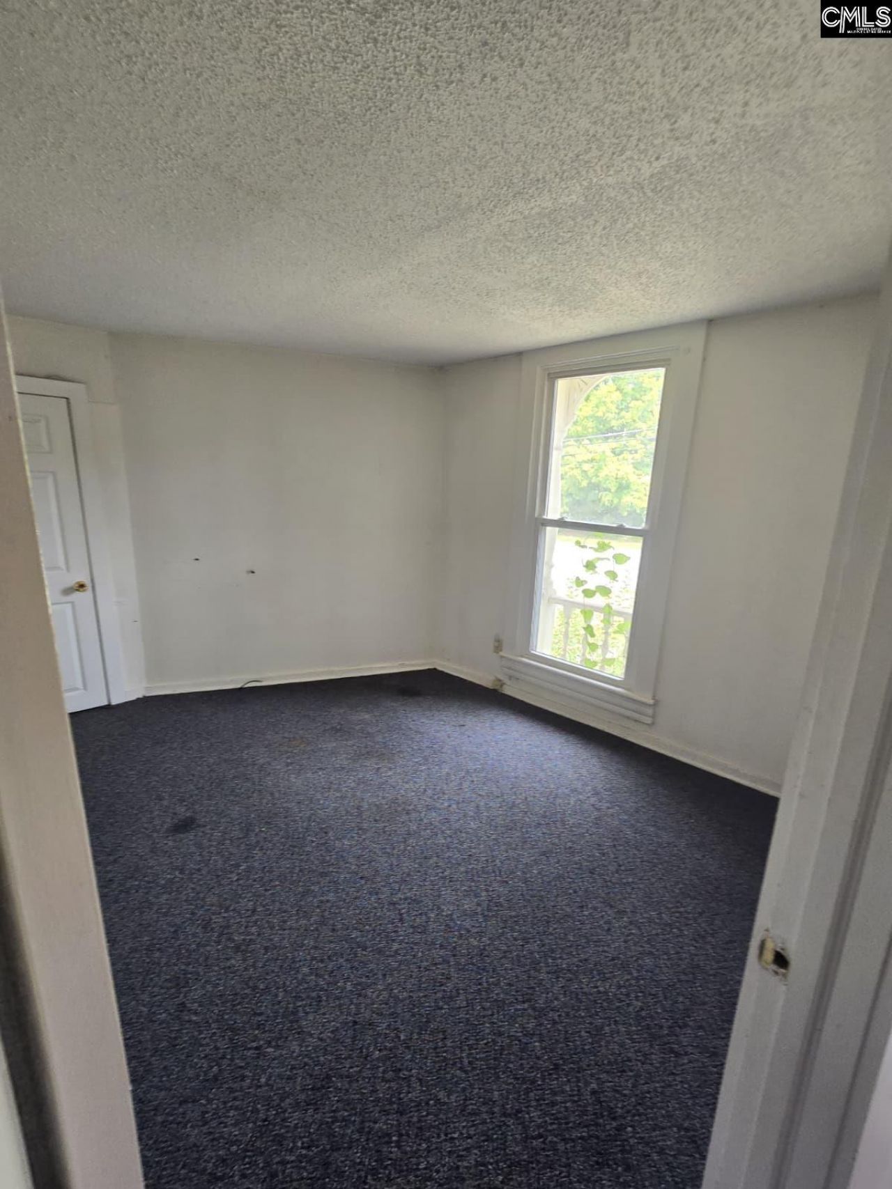 5326 Carolina Highway  Photo 33