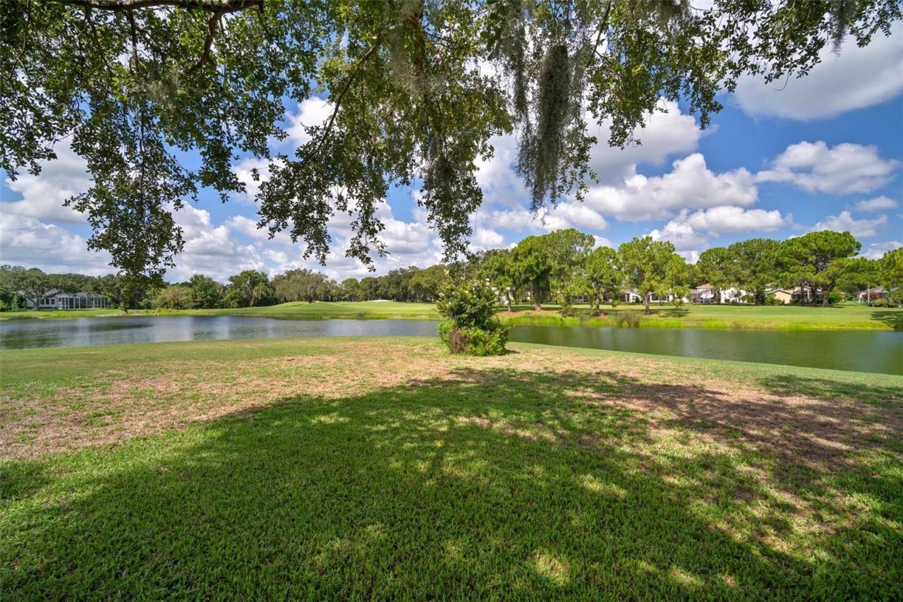 3302 Cypress Landing Drive, Valrico, FL 33596 Photo