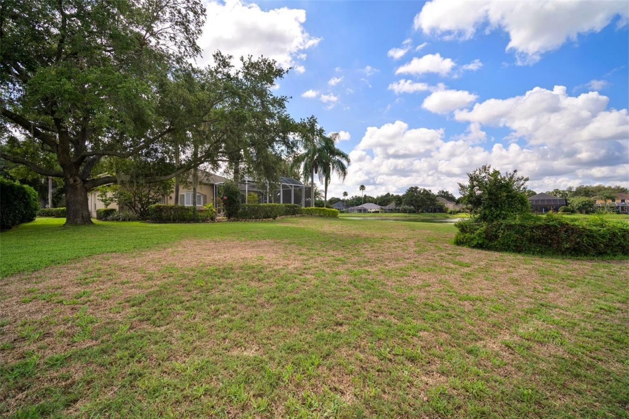 3302 Cypress Landing Drive, Valrico, FL 33596 Photo