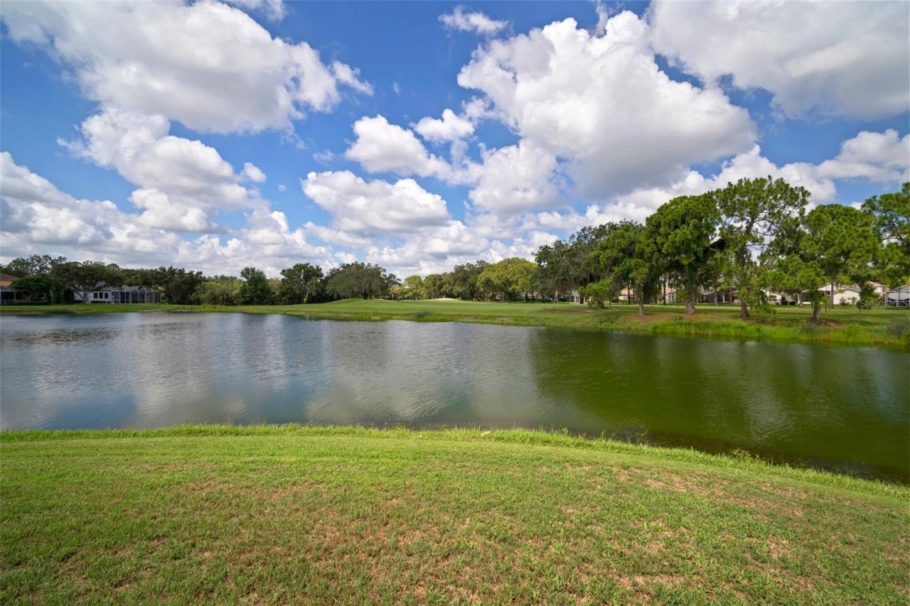 3302 Cypress Landing Drive, Valrico, FL 33596 Photo