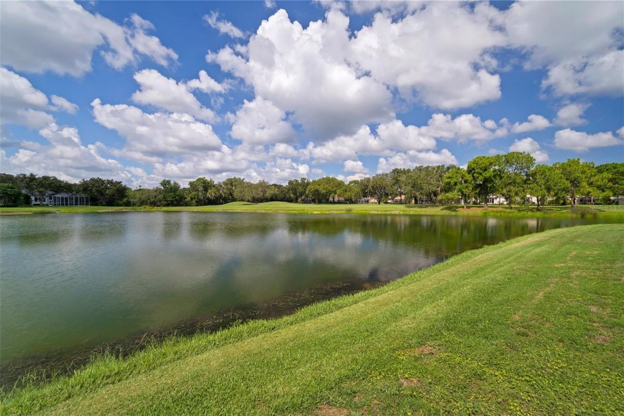 3302 Cypress Landing Drive, Valrico, FL 33596 Photo