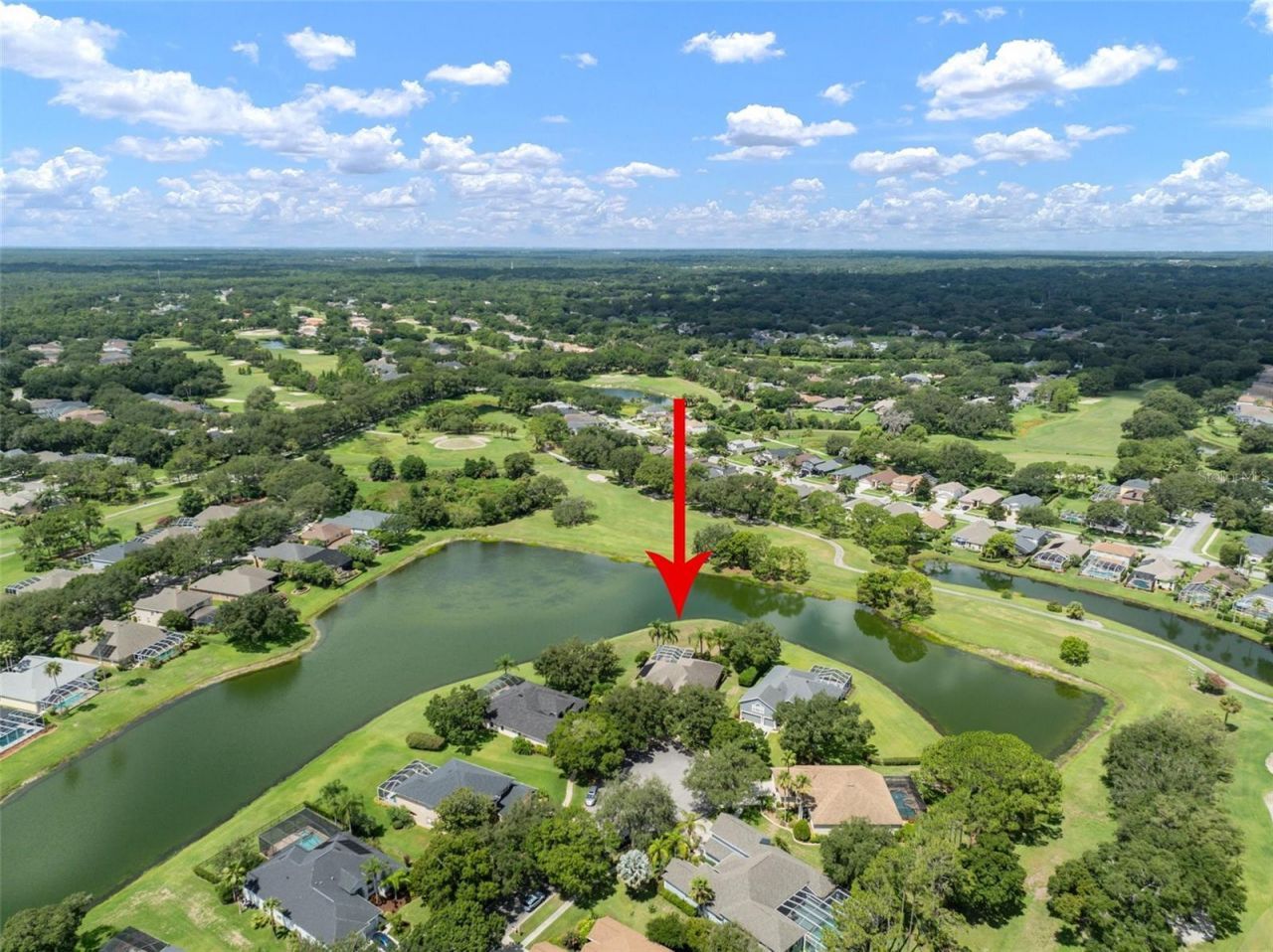 3302 Cypress Landing Drive, Valrico, FL 33596 Photo