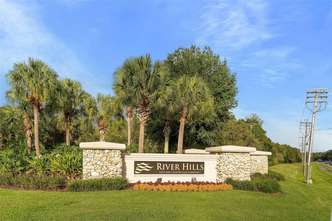 3302 Cypress Landing Drive, Valrico, FL 33596 Photo