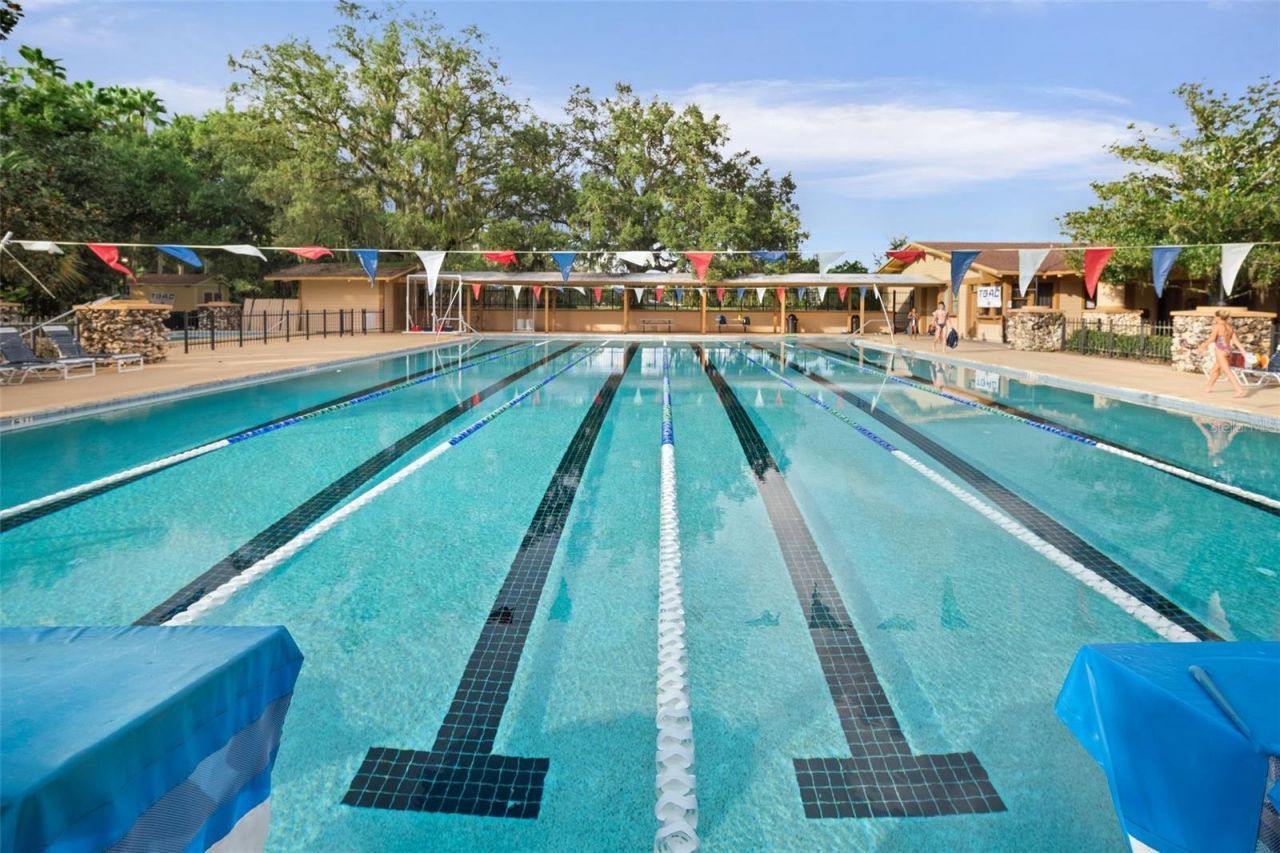 3302 Cypress Landing Drive, Valrico, FL 33596 Photo