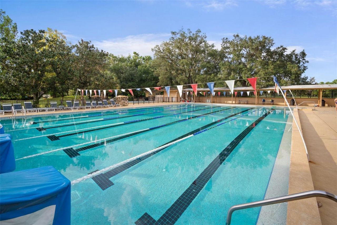 3302 Cypress Landing Drive, Valrico, FL 33596 Photo