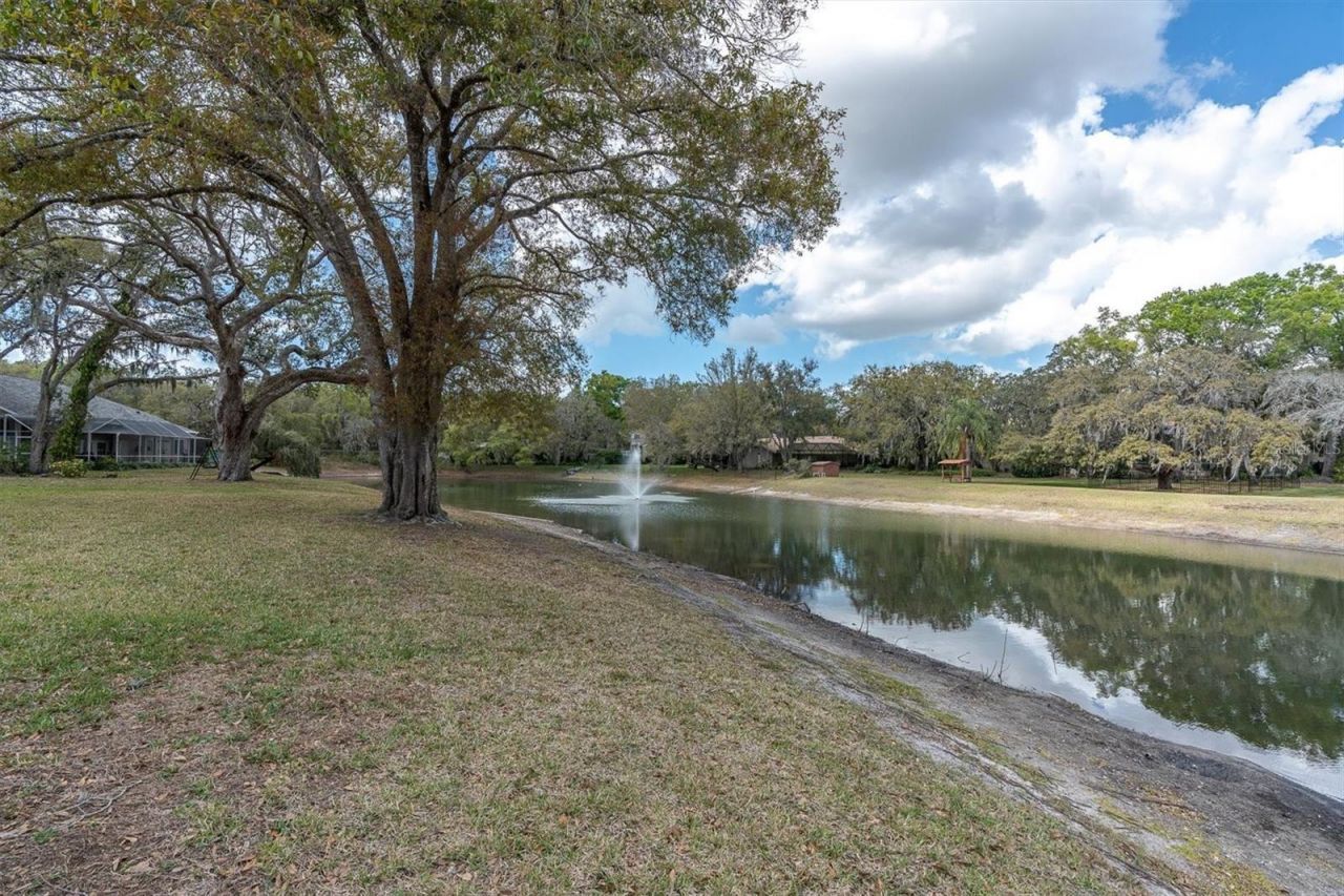 8823 Crescent Forest Boulevard , New Port Richey, FL 34654 Photo