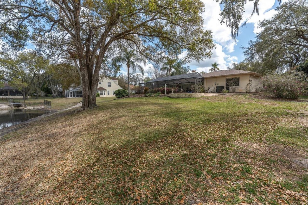 8823 Crescent Forest Boulevard , New Port Richey, FL 34654 Photo