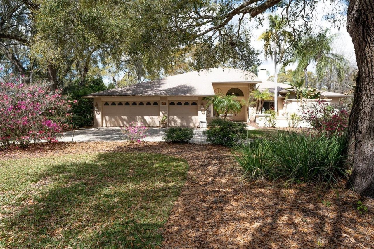 8823 Crescent Forest Boulevard , New Port Richey, FL 34654 Photo