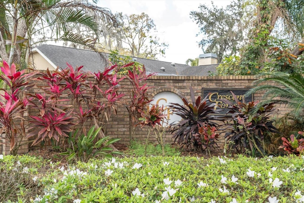 8823 Crescent Forest Boulevard , New Port Richey, FL 34654 Photo