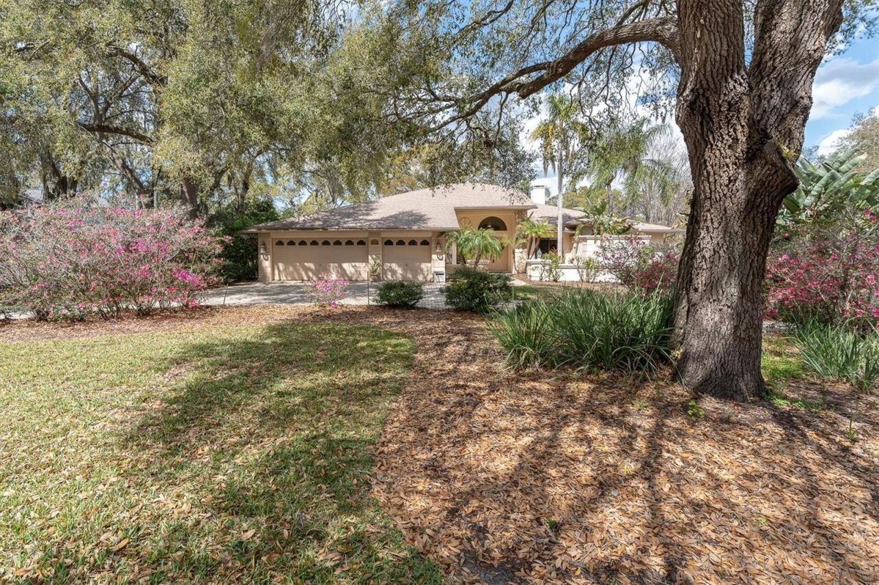 8823 Crescent Forest Boulevard , New Port Richey, FL 34654 Photo