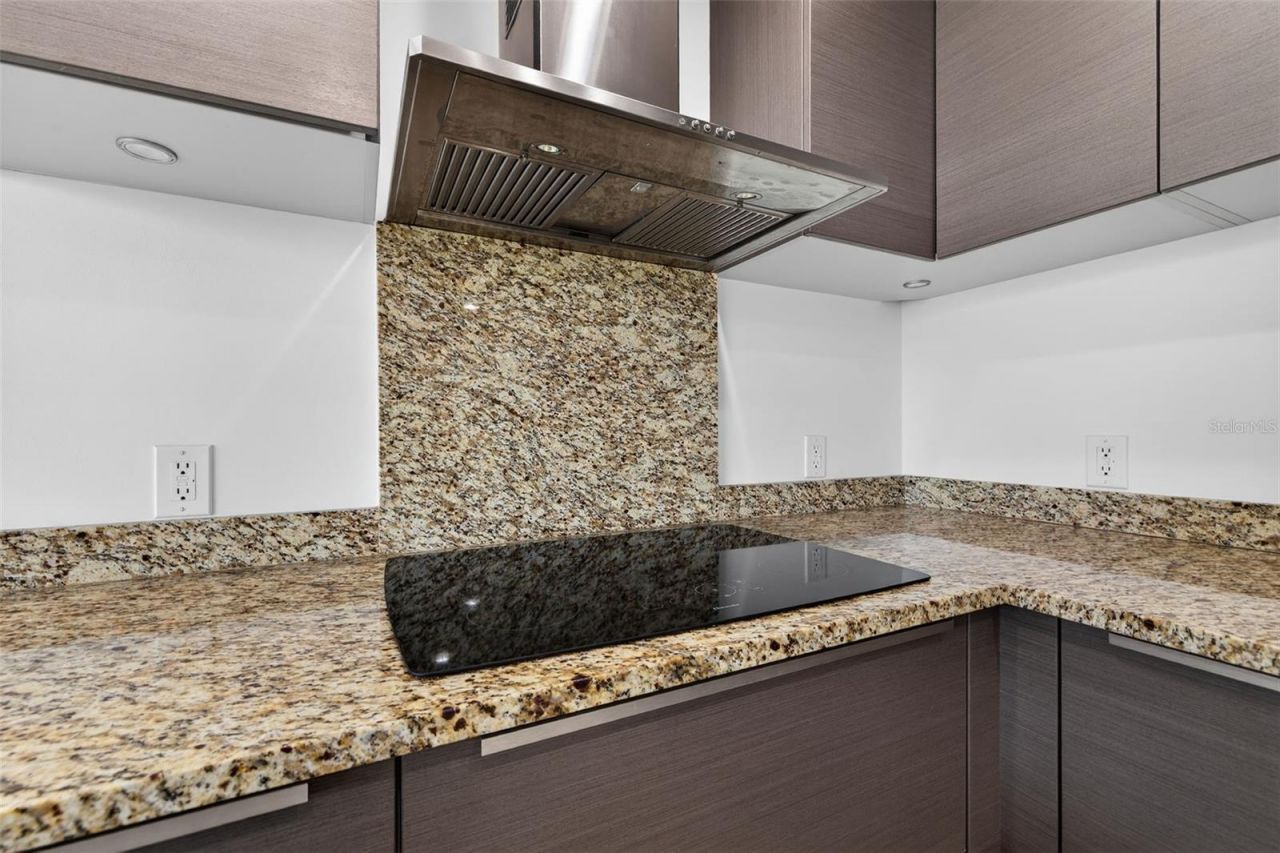 175 1st Street S, Unit 404, Saint Petersburg, FL 33701 Photo