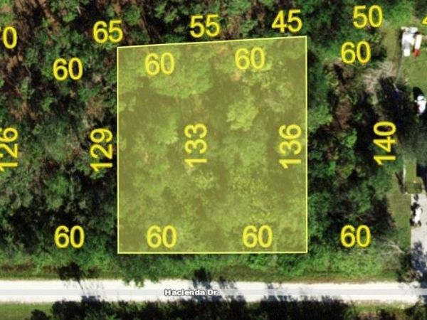 27198 & 27204 HACIENDA DRIVE , PUNTA GORDA, FL 33955