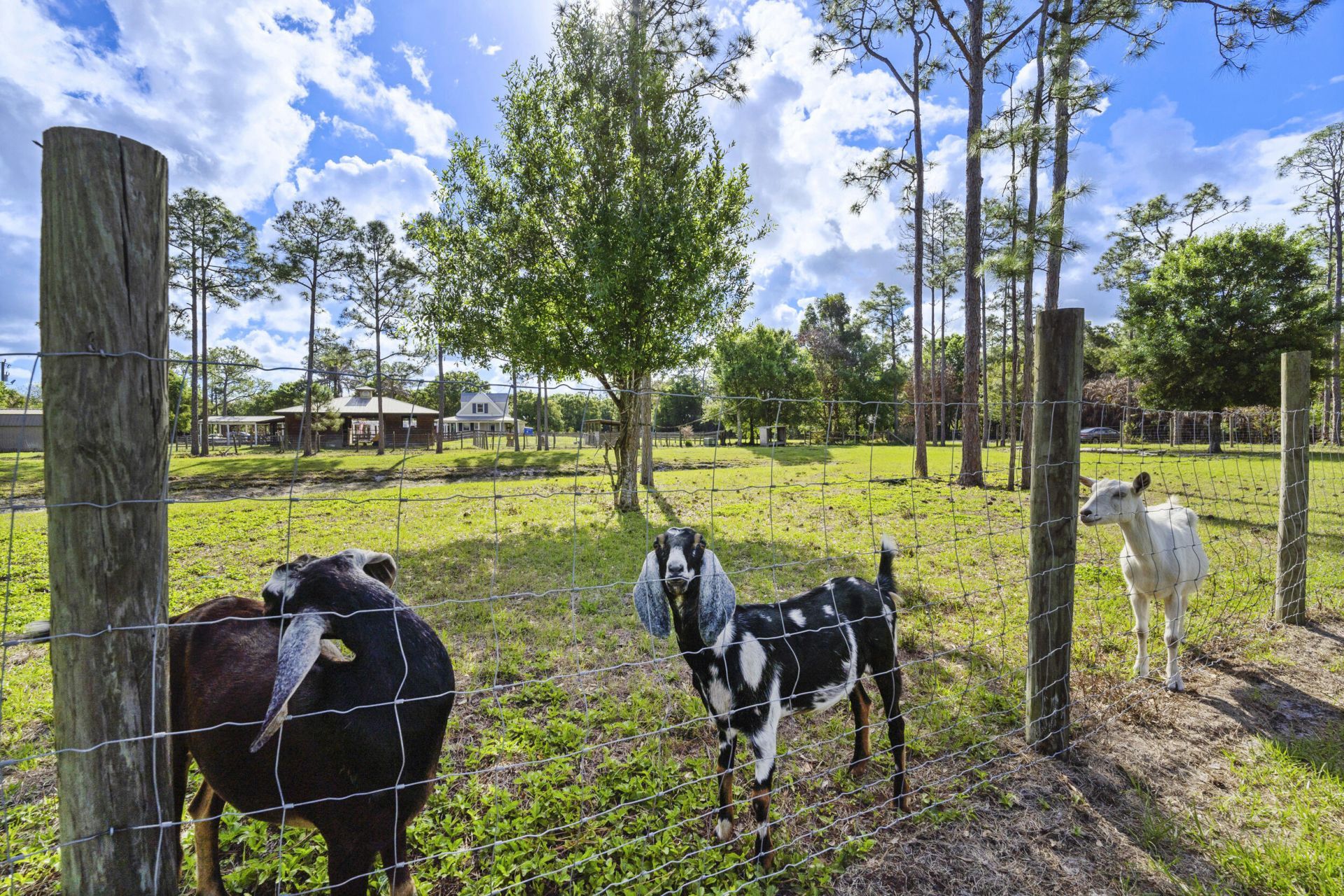 6347 SW Travers Street, Palm City, FL 34990 Photo
