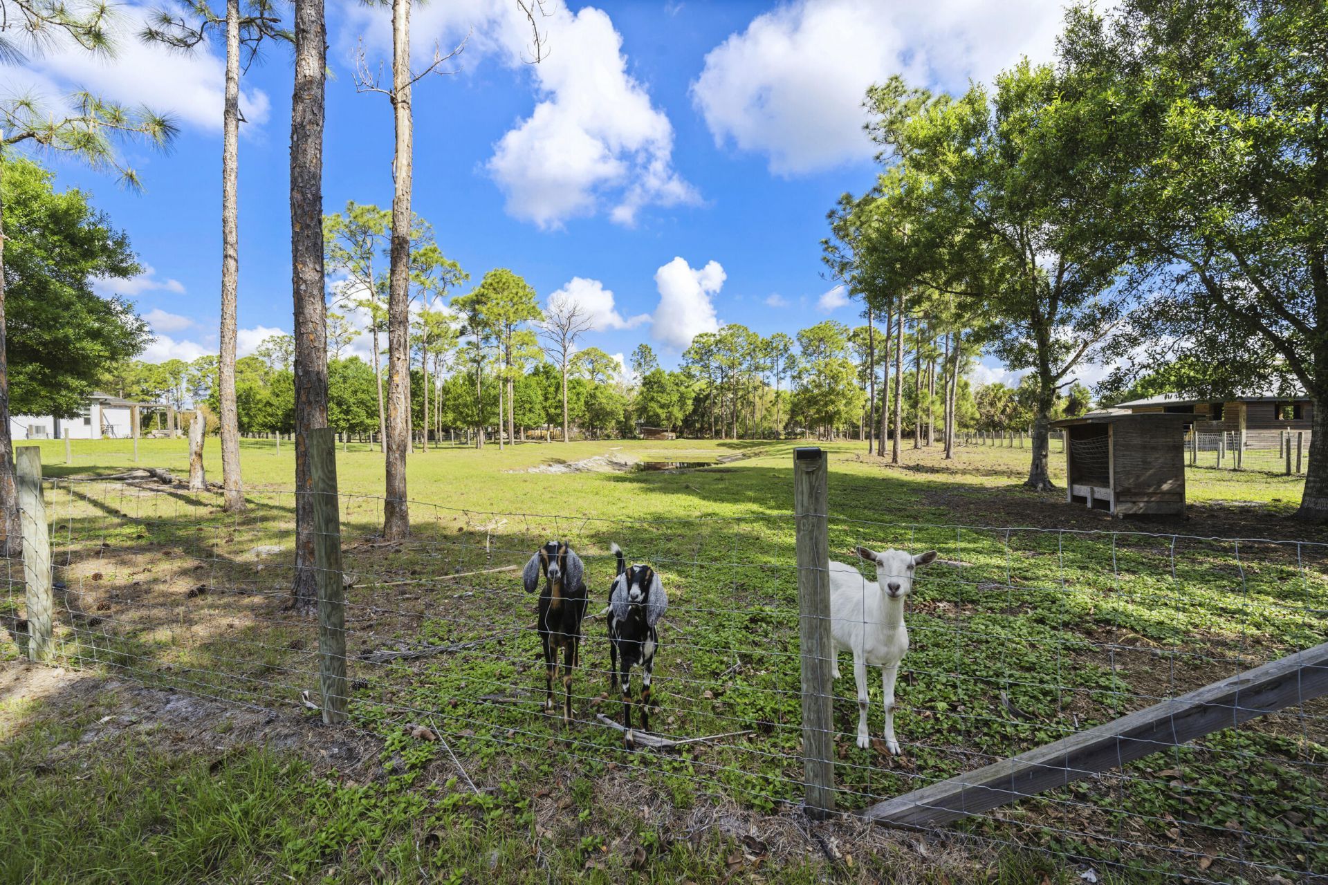 6347 SW Travers Street, Palm City, FL 34990 Photo