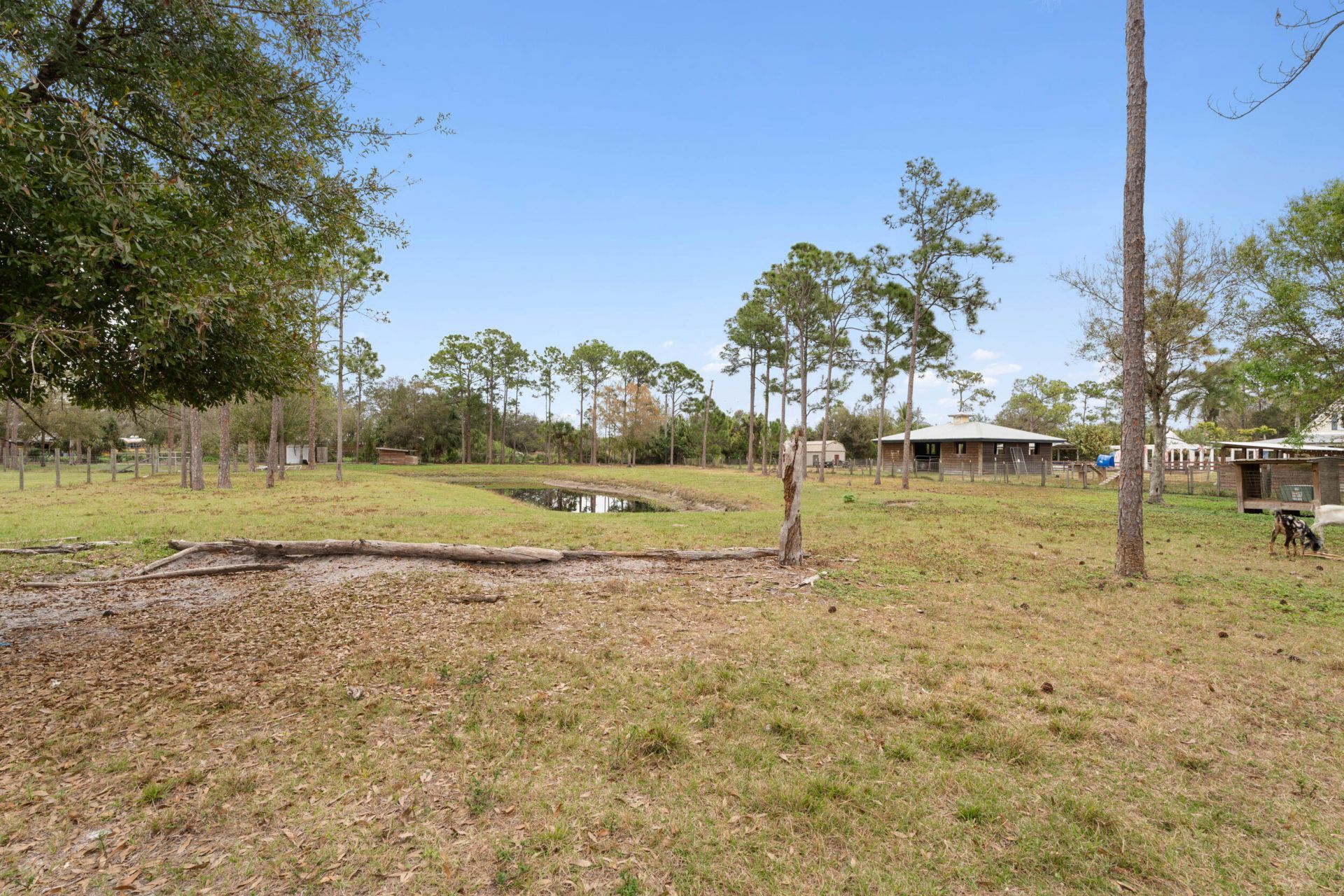 6347 SW Travers Street, Palm City, FL 34990 Photo