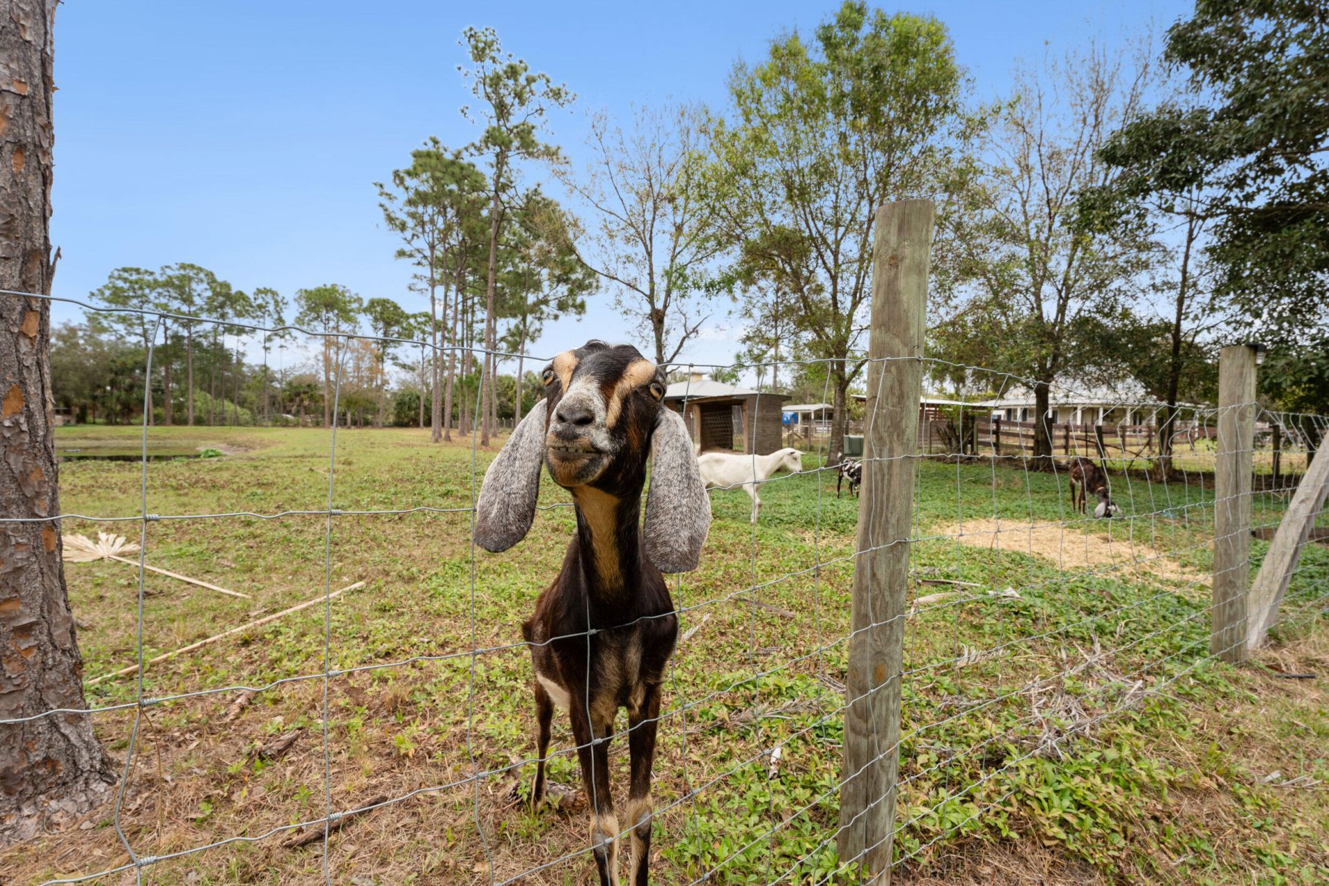 6347 SW Travers Street, Palm City, FL 34990 Photo