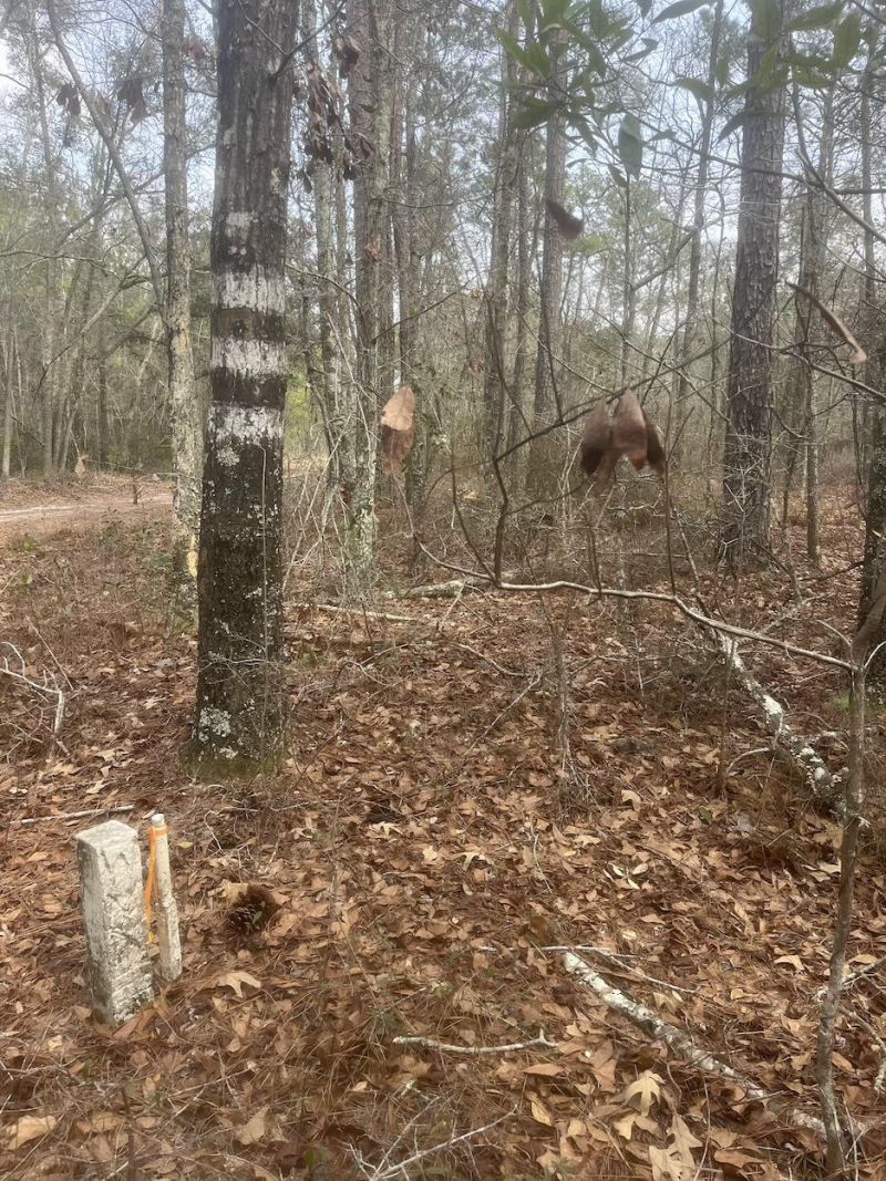 0 Lowcountry Hwy Photo 8