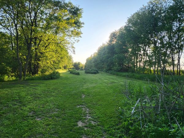 4414 N Tower Rd, Freeport, IL 61032