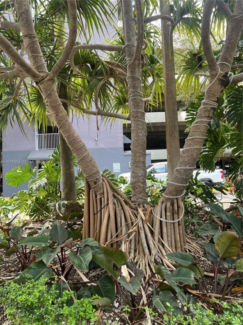 850 N Miami Ave , Unit W-1806, Miami, FL 33136 Photo