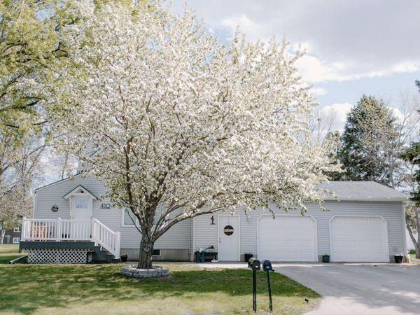 410 2nd Street NE, Hankinson, ND 58041