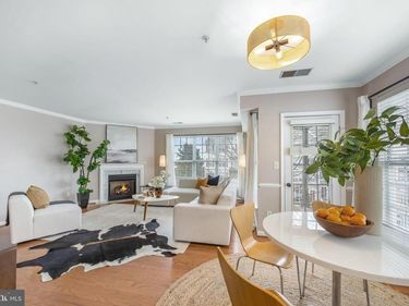 2495 ANGELINE DRIVE, Unit 303, HERNDON, VA 20171