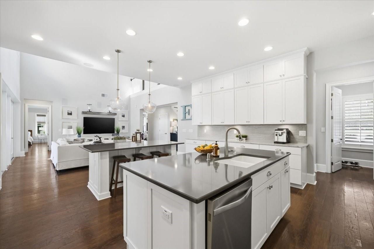 14910 Fishhawk Preserve Drive, Lithia, FL 33547 Photo