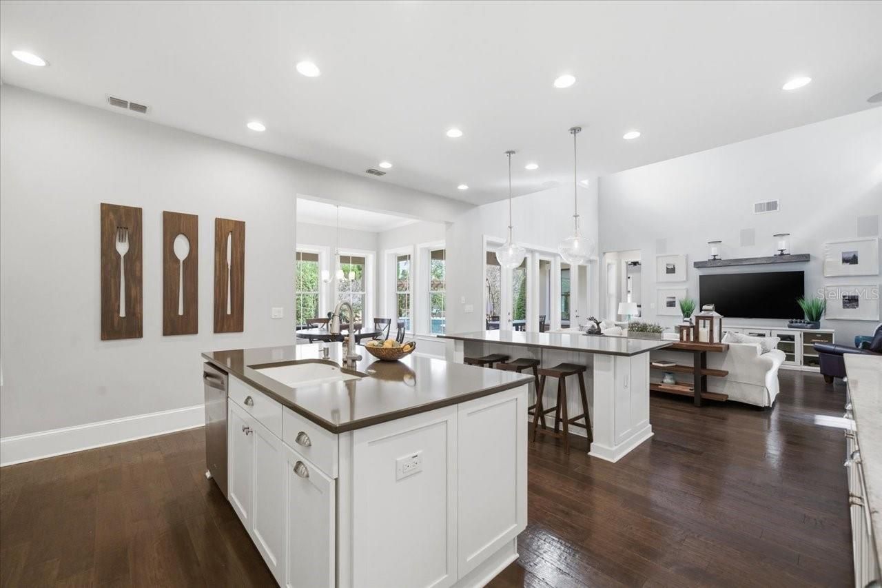 14910 Fishhawk Preserve Drive, Lithia, FL 33547 Photo