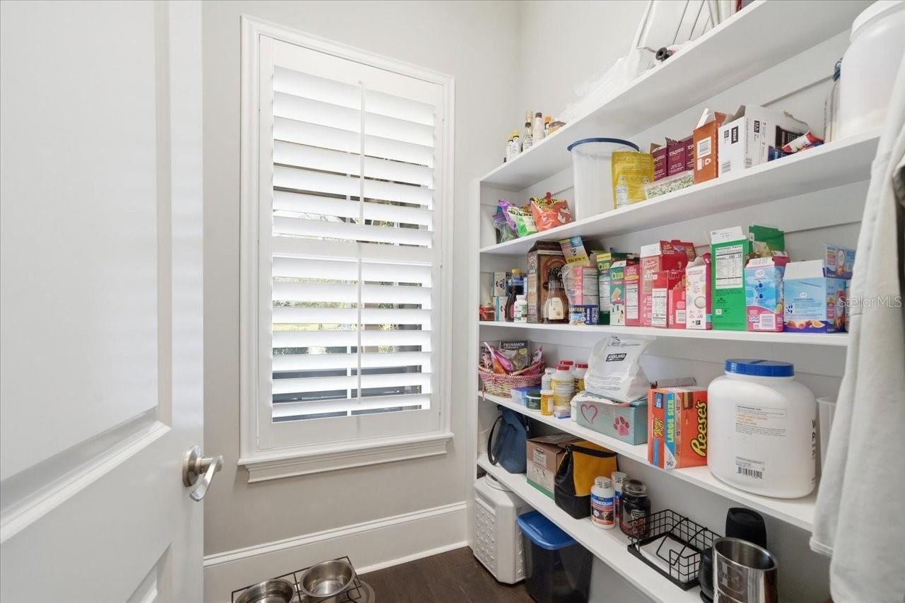 14910 Fishhawk Preserve Drive, Lithia, FL 33547 Photo