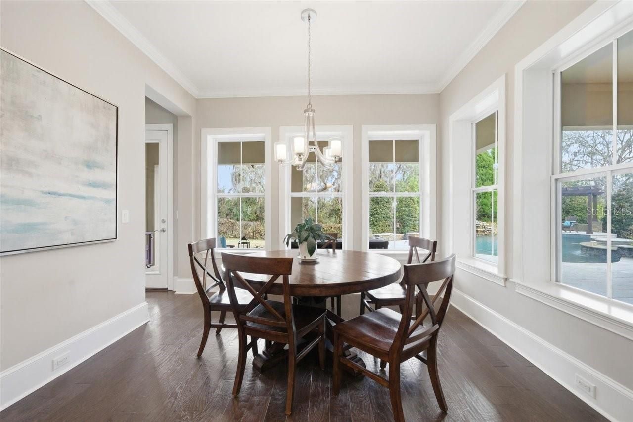 14910 Fishhawk Preserve Drive, Lithia, FL 33547 Photo