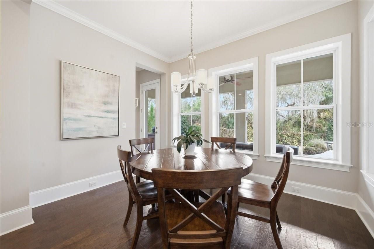 14910 Fishhawk Preserve Drive, Lithia, FL 33547 Photo