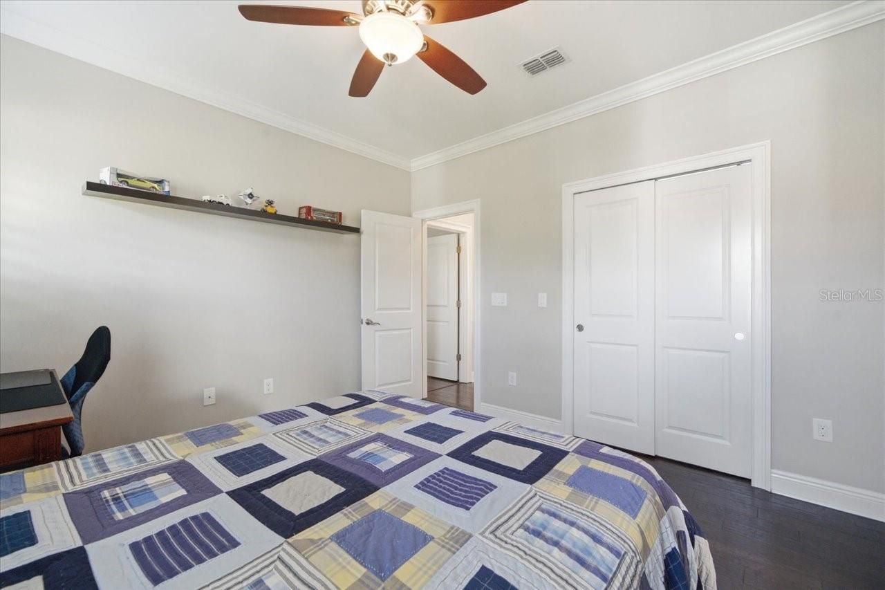 14910 Fishhawk Preserve Drive, Lithia, FL 33547 Photo