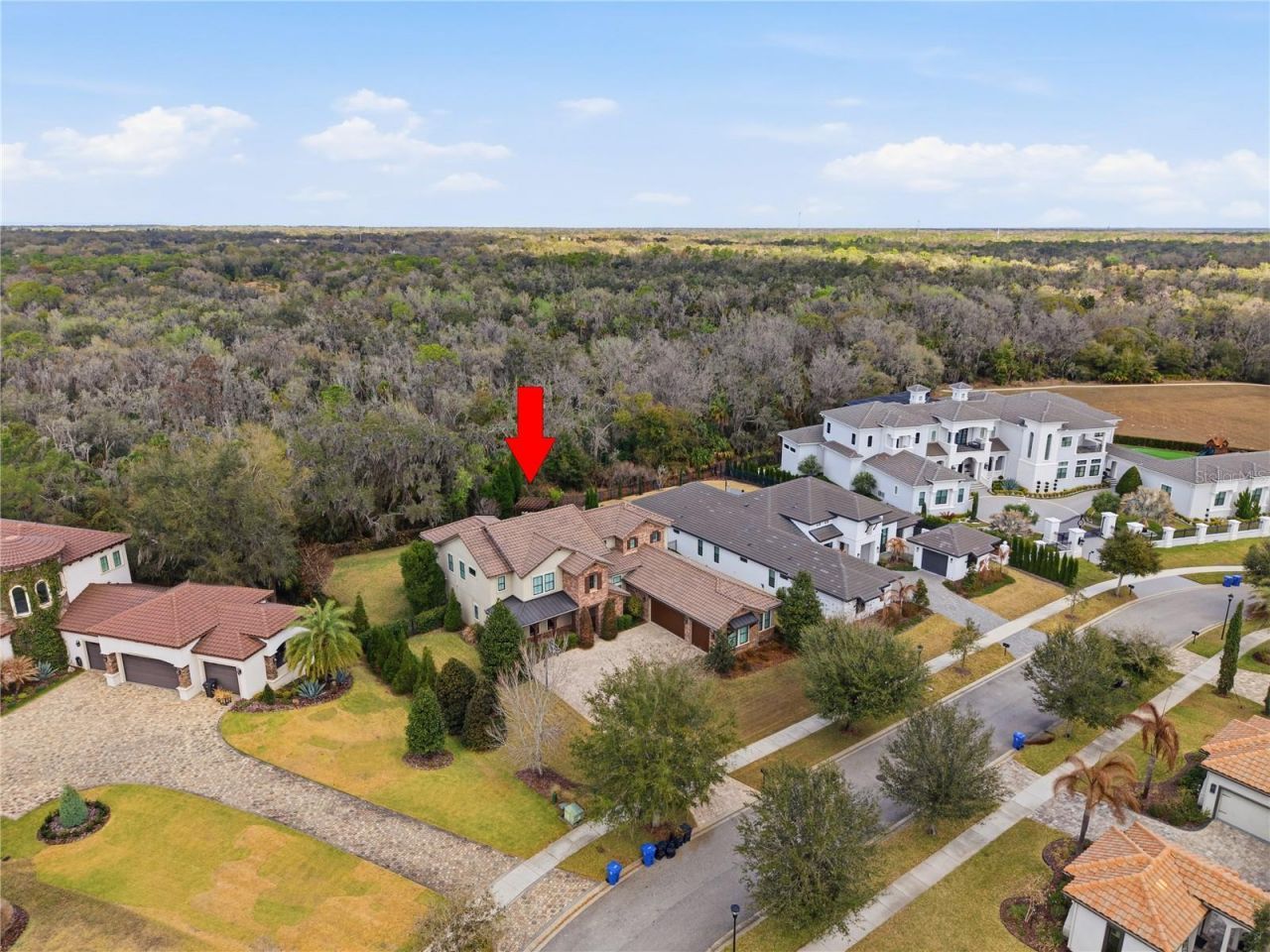 14910 Fishhawk Preserve Drive, Lithia, FL 33547 Photo