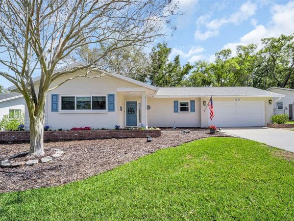 1223 TIMBERBROOKE DRIVE , PALM HARBOR, FL 34684