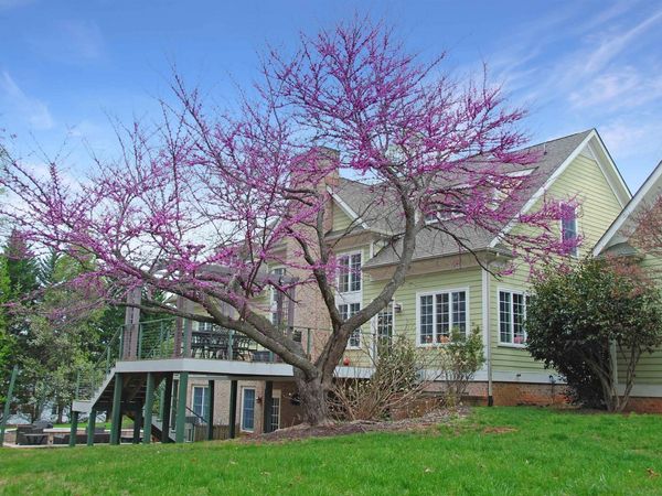 1330 ELDERBERRY PL, Earlysville, VA 22936
