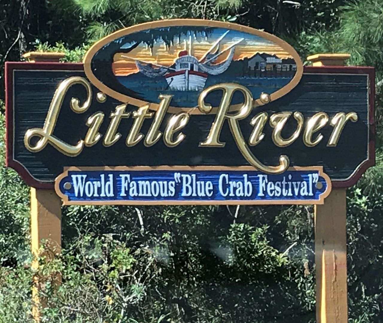 134 Scotch Broom Dr. Photo 36