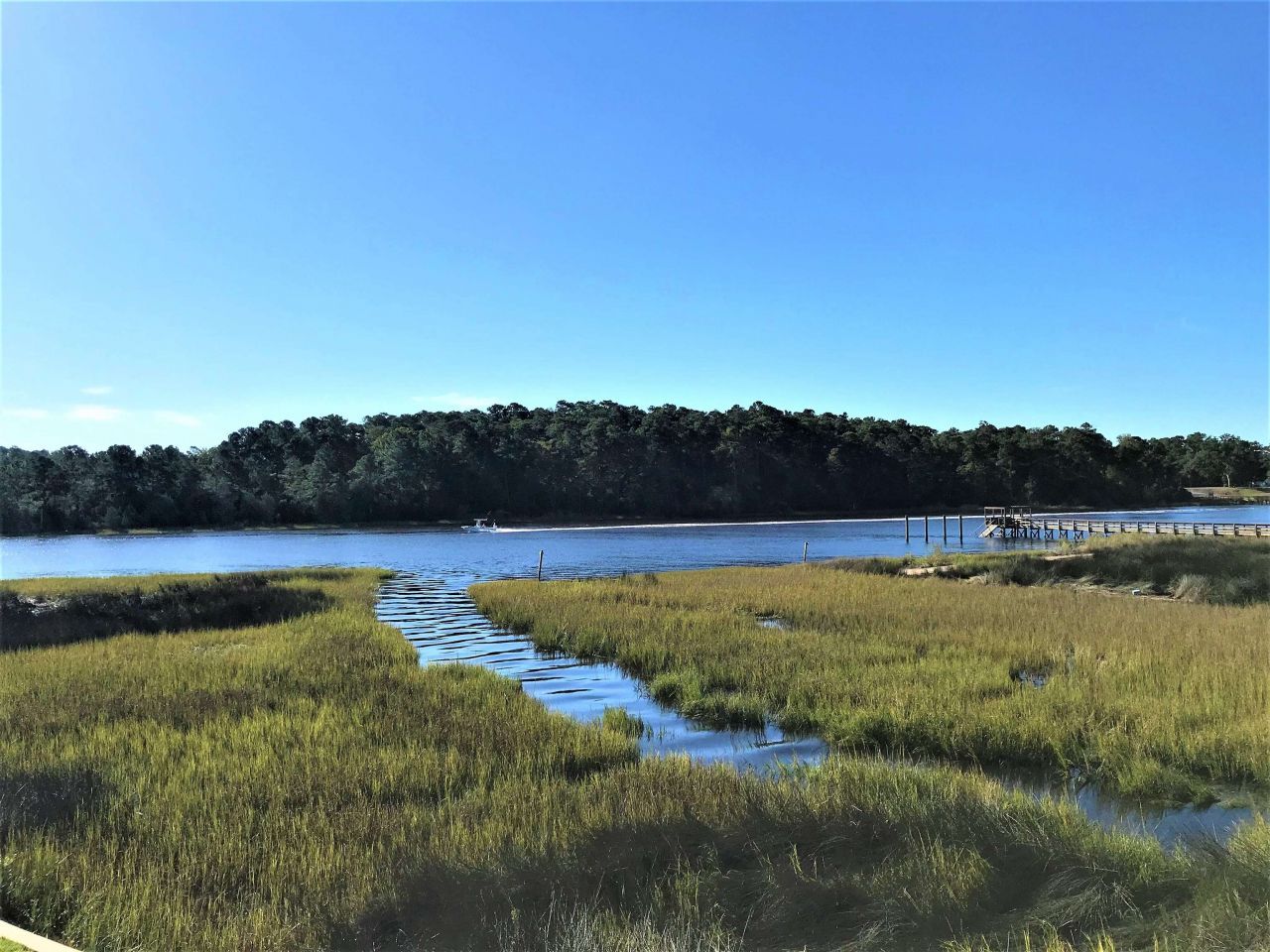 134 Scotch Broom Dr. Photo 37