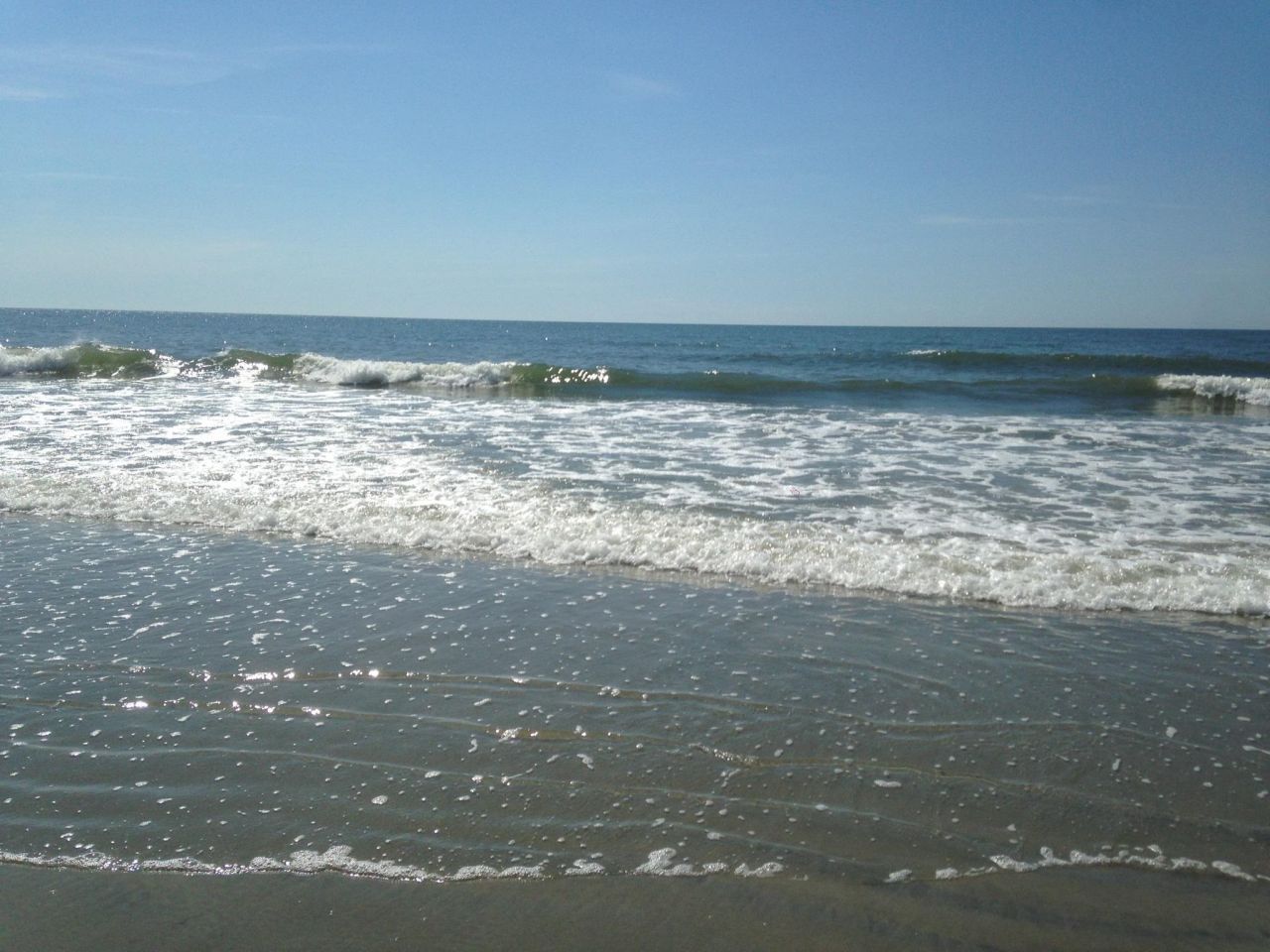 134 Scotch Broom Dr. Photo 38