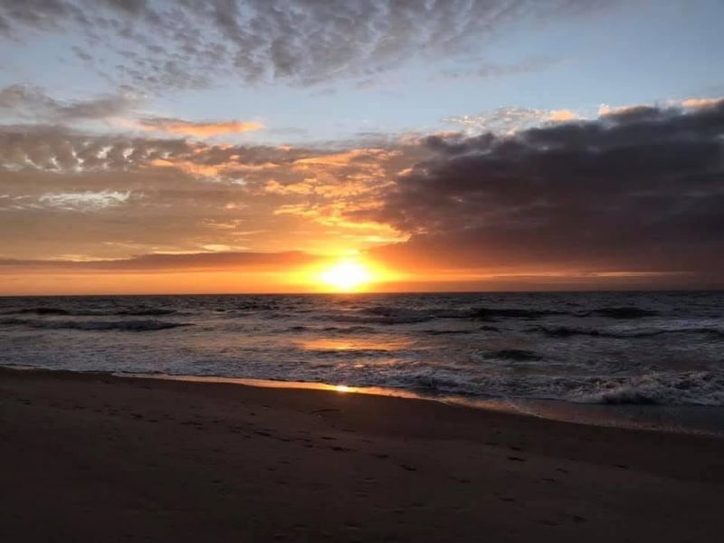 134 Scotch Broom Dr. Photo 39