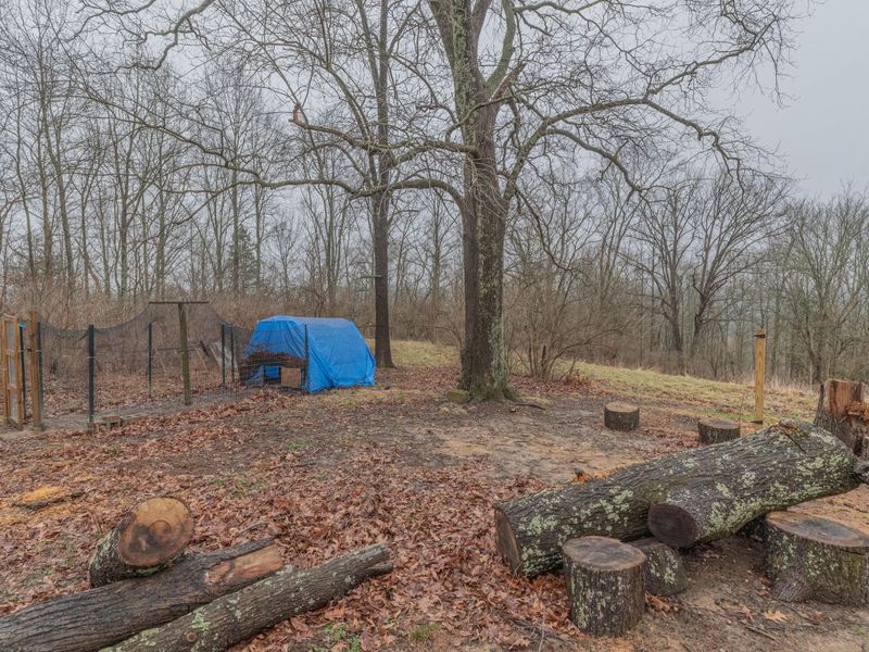 4825 Whites Road, Ryland Heights, KY 41015 Photo 11