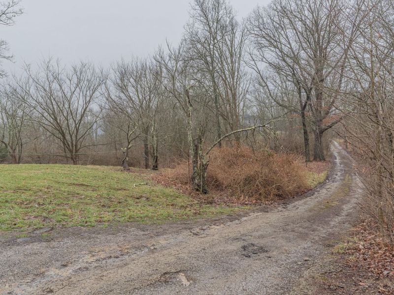 4825 Whites Road, Ryland Heights, KY 41015 Photo 7