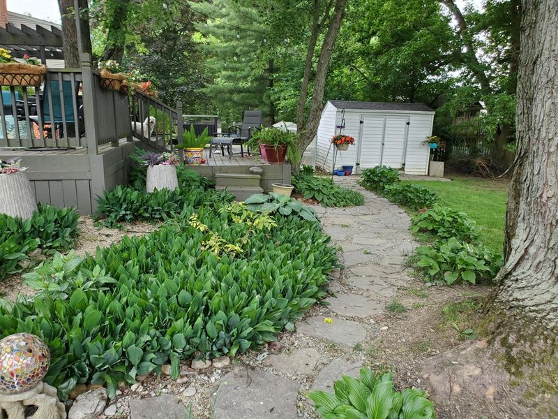 481 Clotts Road, Columbus, OH 43230 Photo 14